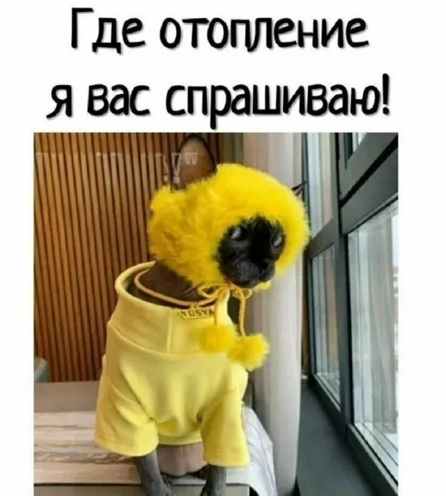 Мемы за сегодня