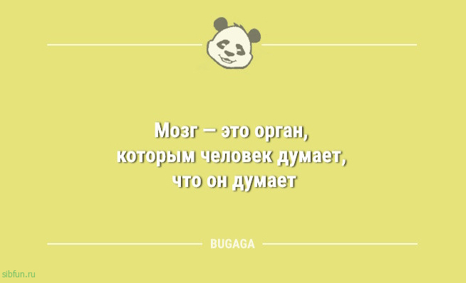Анекдоты в середине недели: &laquo;Взрослая жизнь &mdash; это&hellip;&raquo; 