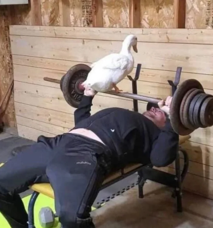 20 смешных ситуаций, которые напоминают: радость рядом 20 смешных ситуаций, которые напоминают: радость рядом