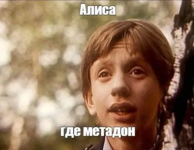 Ежедневки: Мемы и приколы #1