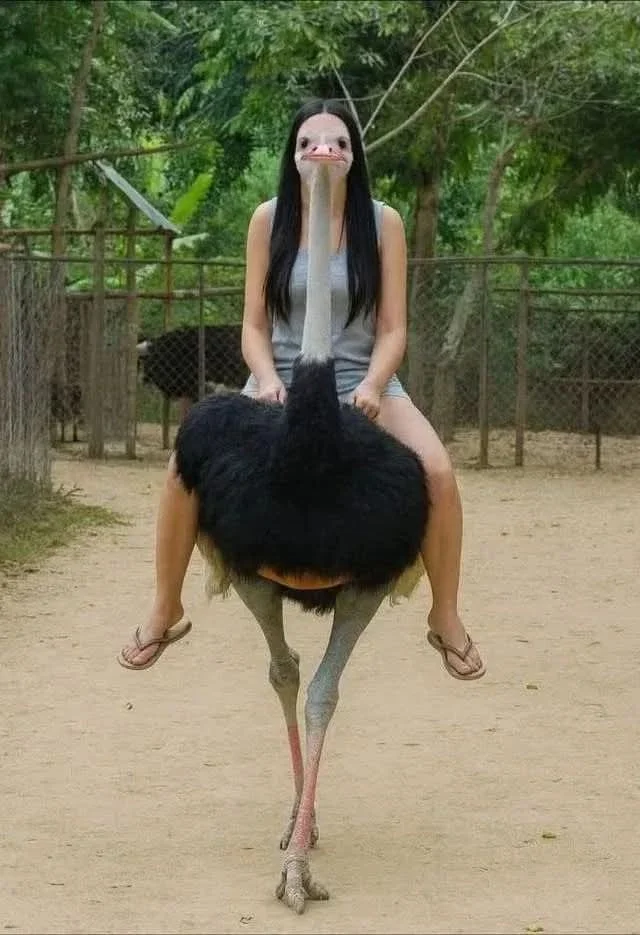 Отличные и веселые мемы