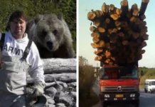 20 фото, доказывающих, что чувство самосохранения есть не у всех