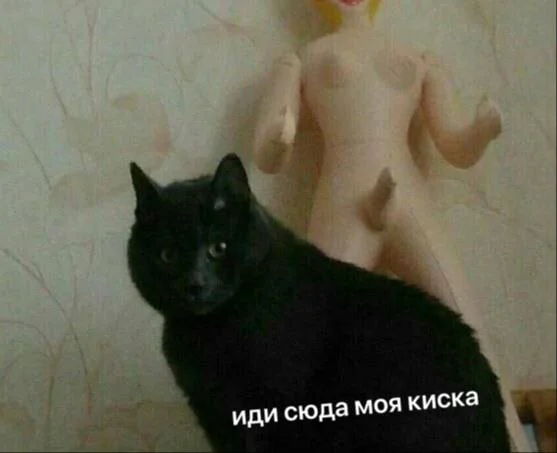 Пошлые мемы и чёрный юмор 18+ | Подборка #10 Пошлые мемы и чёрный юмор 18+ | Подборка #10