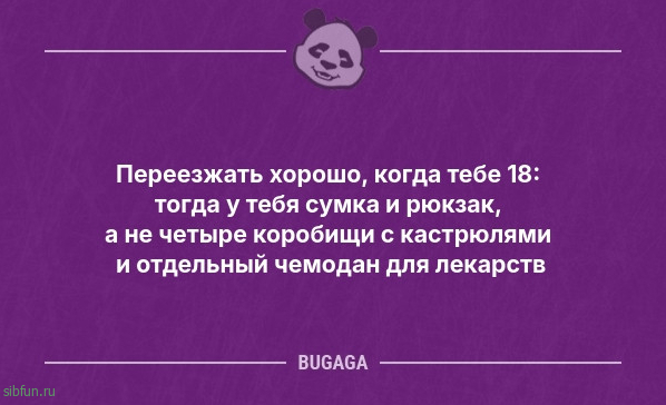 Анекдотов пост: «Девочки, если вы всей семьёй выехали на природу…» 