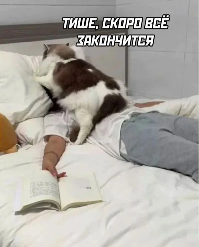 Веселые мемы