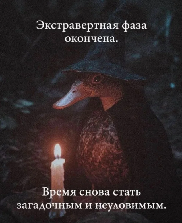 Мемы для интеллектуалов