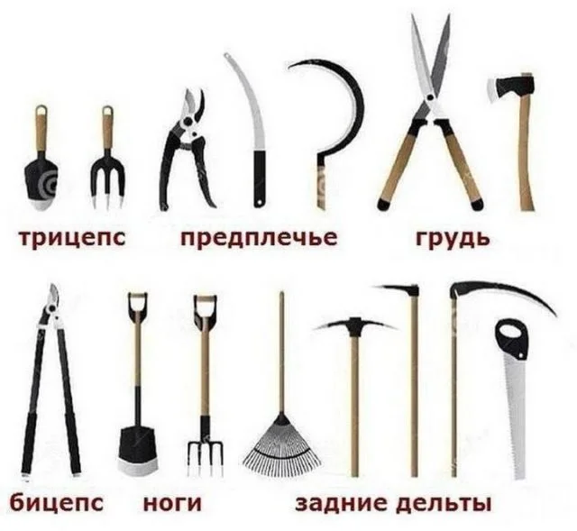 Смешные скрины из соцсетей #125 Смешные скрины из соцсетей #125