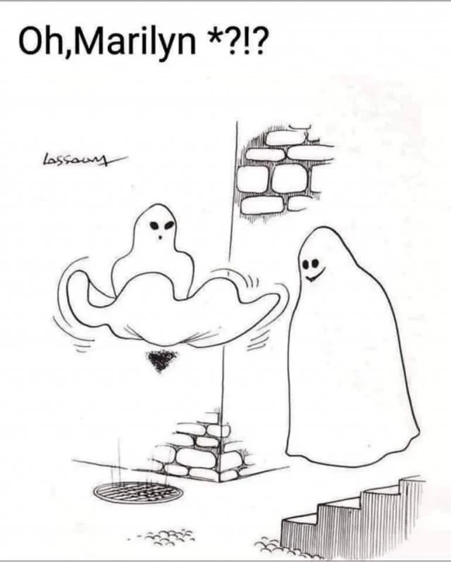 Отличные мемы в ленту