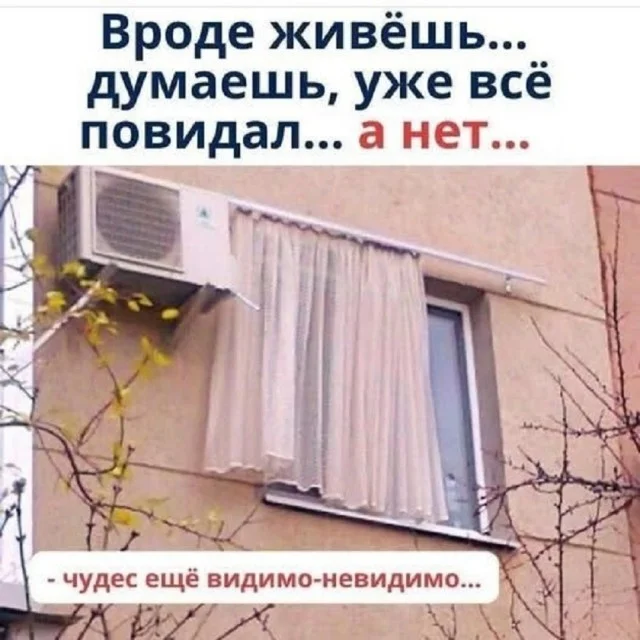 Весёлые мемы на каждый день