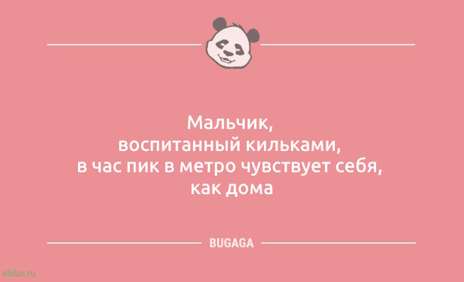 Анекдоты в пятницу: «Только на шестой день отдыха в Египте…» 