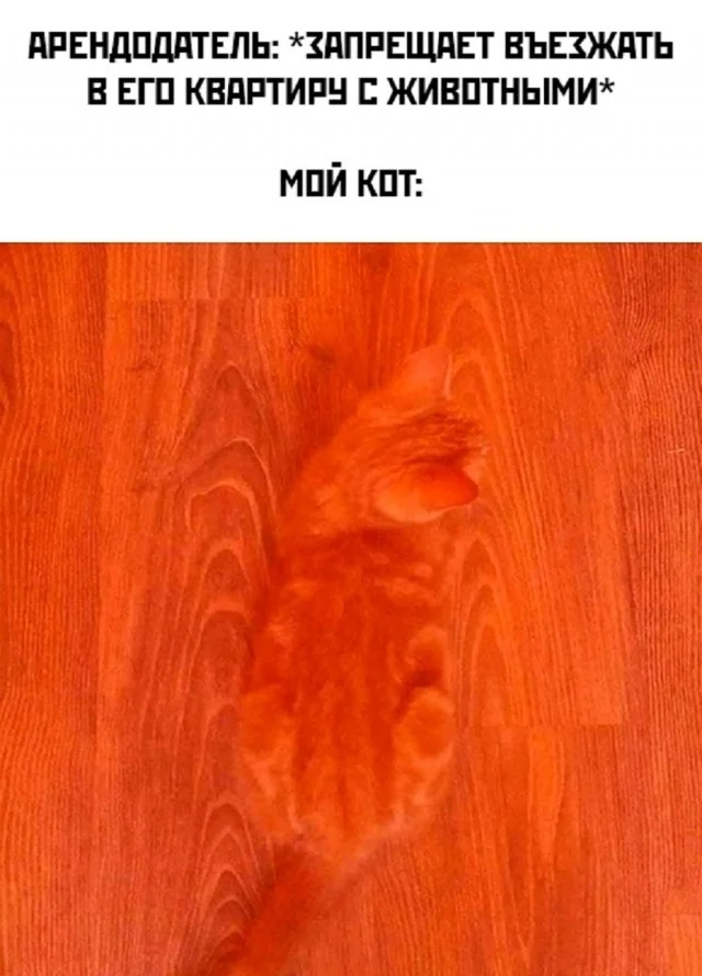 Ну такие себе мемы