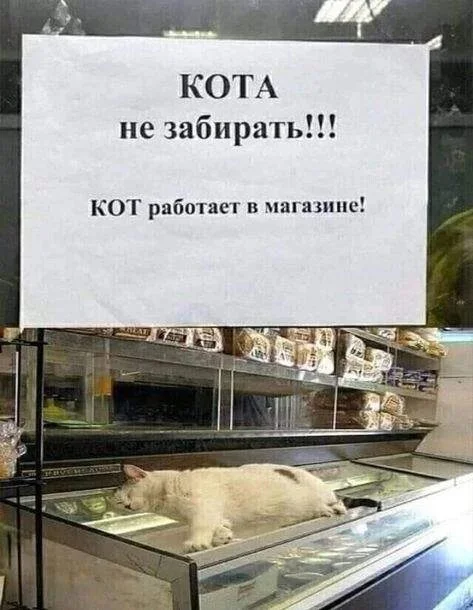 15 объявлений от людей с необычным чувством юмора и креативом