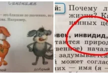 20 забавных ошибок из учебников и детских книг, над которыми невозможно не смеяться
