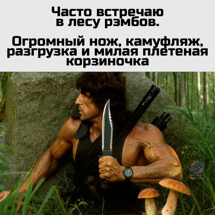 Осенний лес в красках: подборка тёплых и атмосферных фотографий