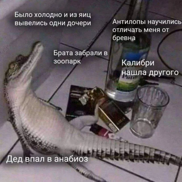 Мемы для деградации