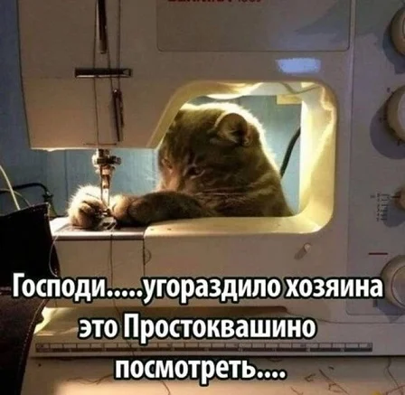 Мемы в ленту #3