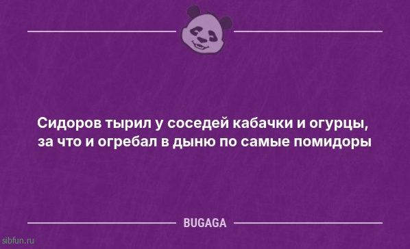 Анекдотов пост: «Девочки, если вы всей семьёй выехали на природу…» 