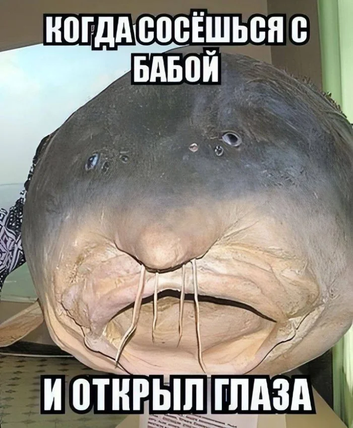 Пошлые мемы и чёрный юмор 18+ | Подборка #27 Пошлые мемы и чёрный юмор 18+ | Подборка #27