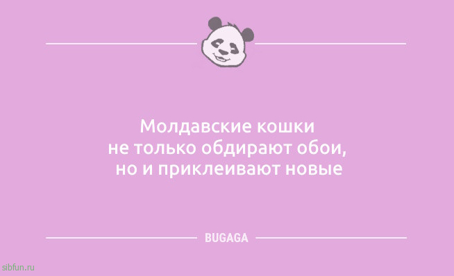 Анекдоты в пятницу: «Он подарил мне 101 розу…» Анекдоты в пятницу: «Он подарил мне 101 розу…»