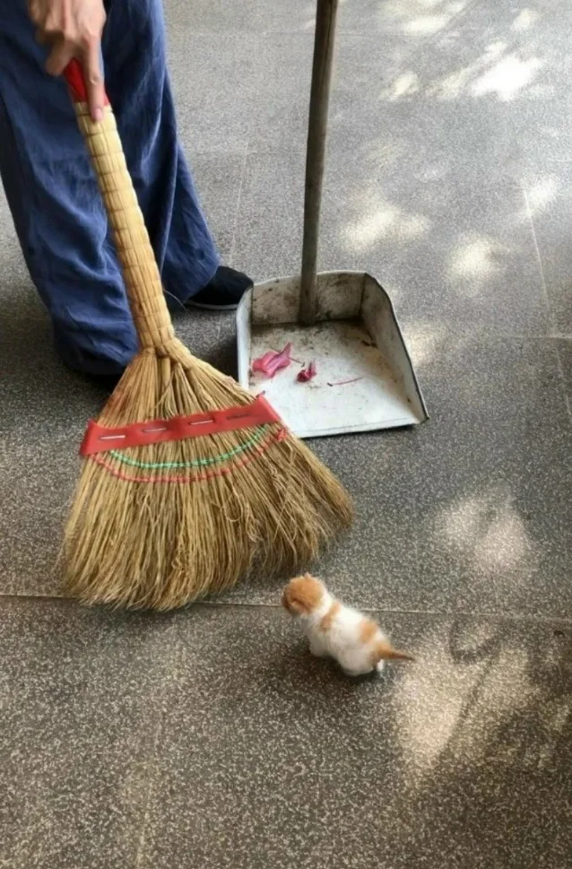 Подборка мемов #1