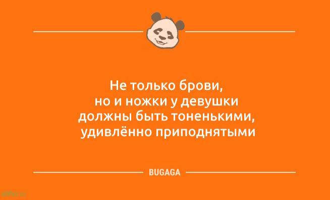 Анекдоты дня: «Вчера занял у соседа перфоратор…» Анекдоты дня: «Вчера занял у соседа перфоратор…»