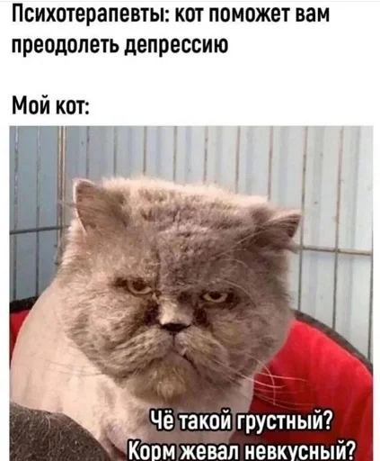 Деградация из мемов