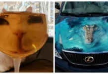 20 смешных ситуаций, которые напоминают: радость рядом