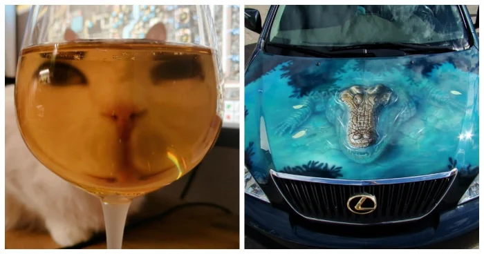 20 смешных ситуаций, которые напоминают: радость рядом 20 смешных ситуаций, которые напоминают: радость рядом