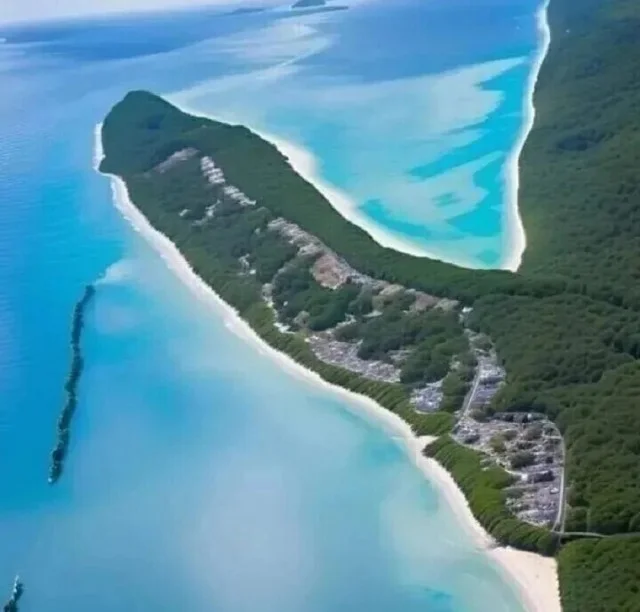 Весёлые мемы на каждый день