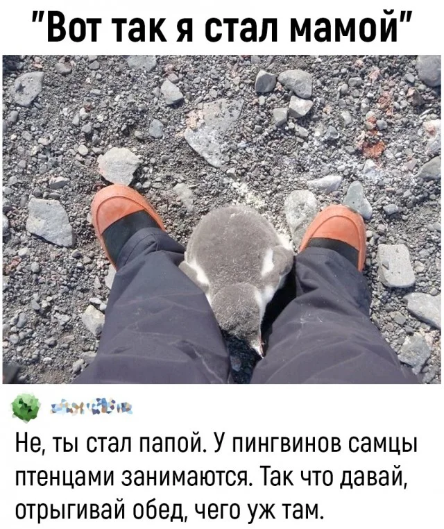 Классные мемы