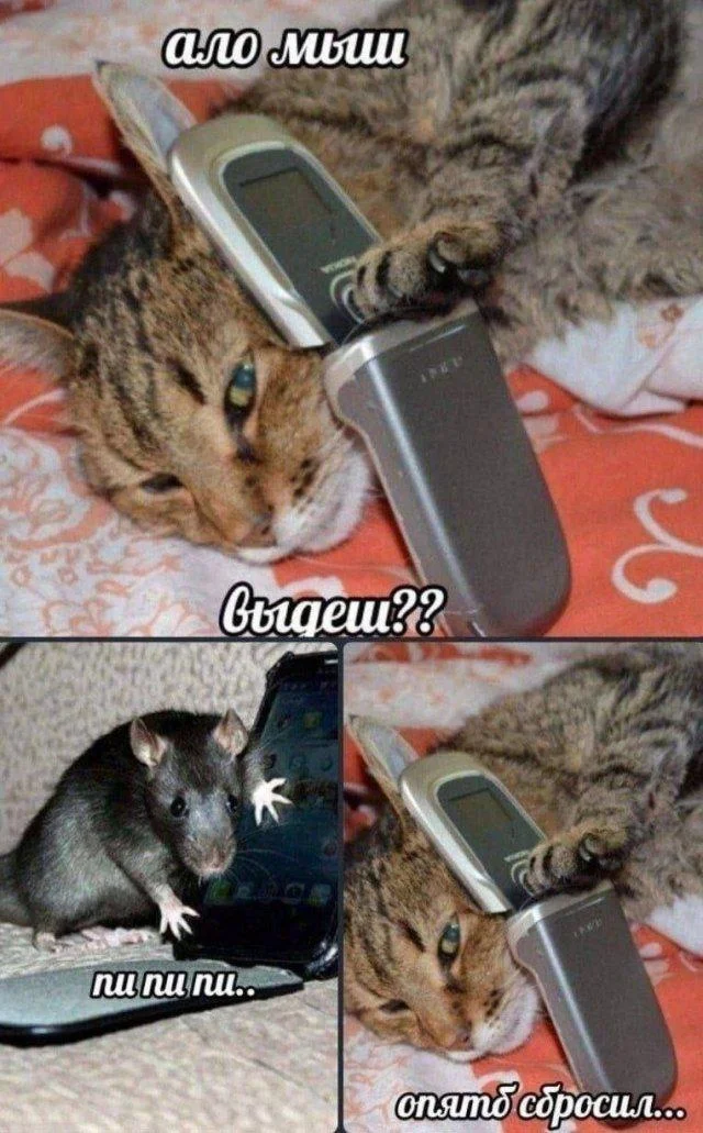 Мемы для деградации