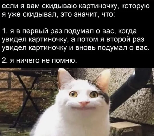 Смешные скрины из соцсетей #118