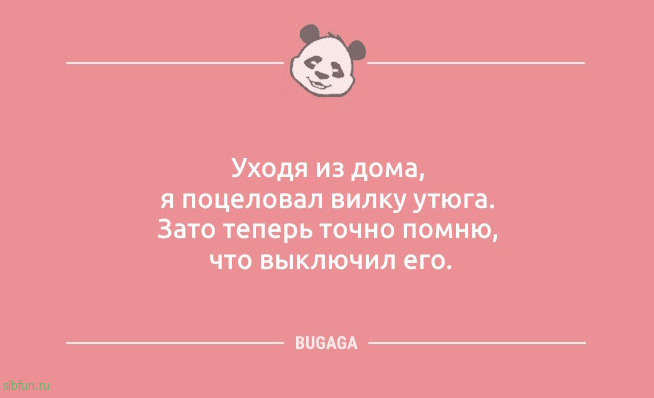 Шутки и анекдоты: «Бабушка принесла свой сотовый…» 