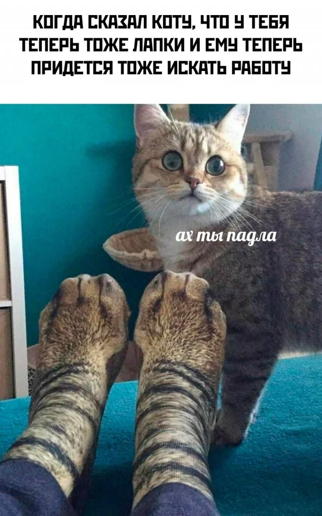 Свежие мемы