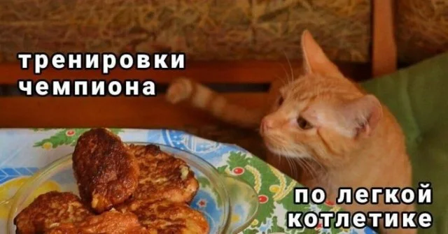 Мемы для деградации