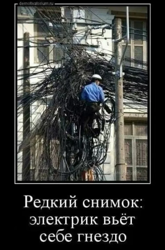 Просто мемы