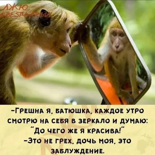 Мемы пропитанные деградацией