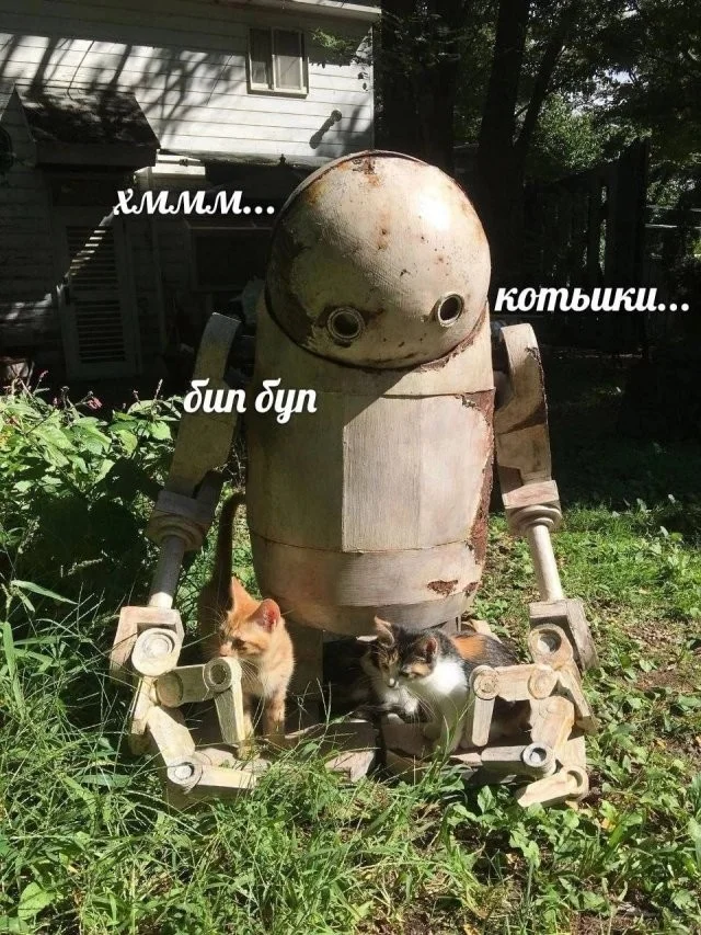 Смешные скрины из соцсетей #117