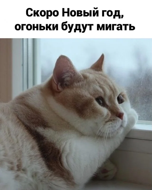 Ну такие себе мемы