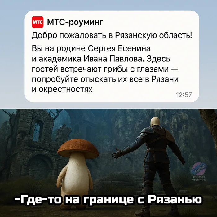 Осенний лес в красках: подборка тёплых и атмосферных фотографий