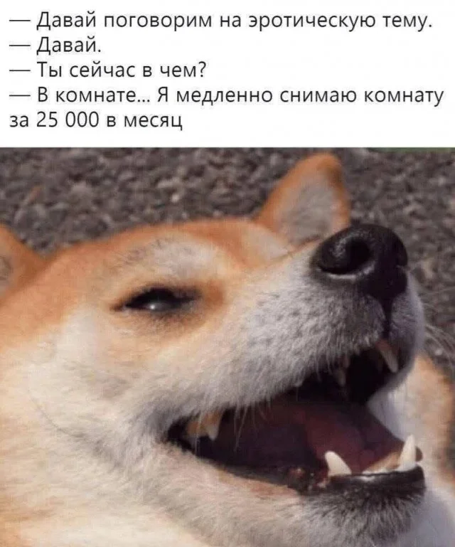 Отличные и веселые мемы