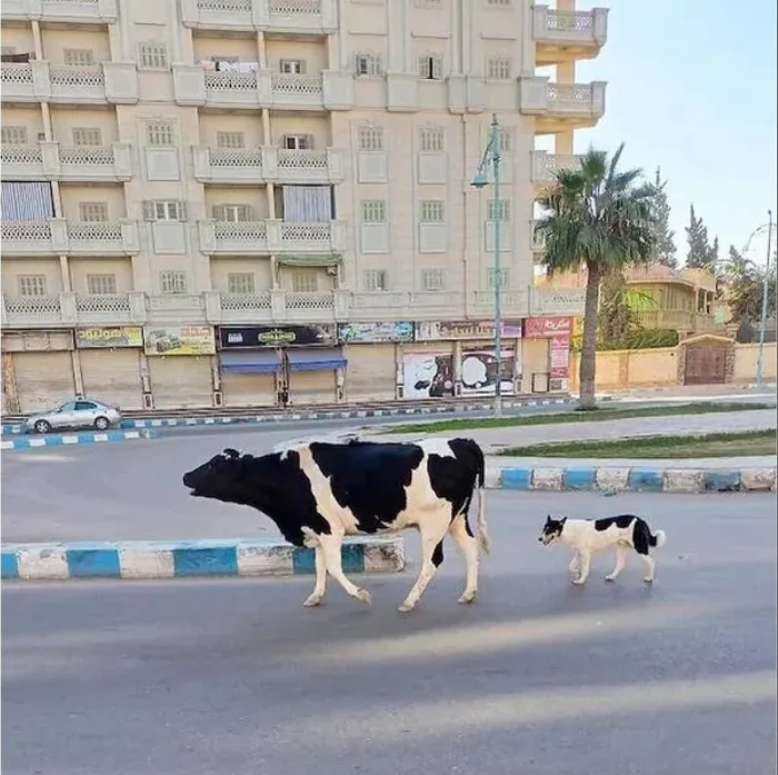 20 смешных ситуаций, которые напоминают: радость рядом 20 смешных ситуаций, которые напоминают: радость рядом