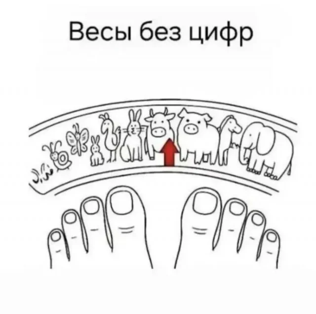 Веселые мемы