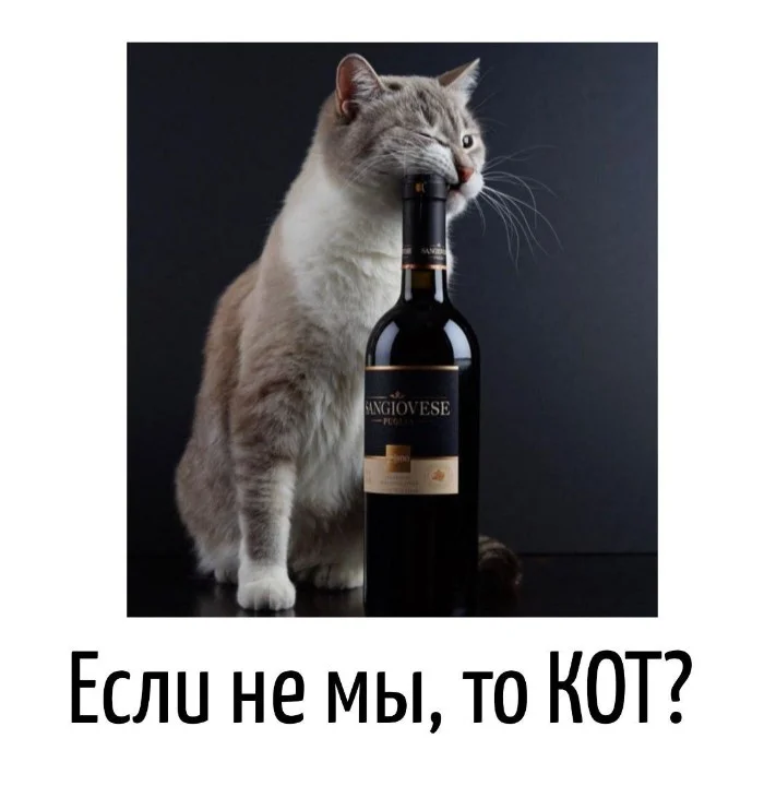 Игра слов – каламбуры, словесный юмор и прикольные картинки #127