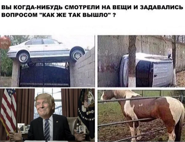 Мемная дичь
