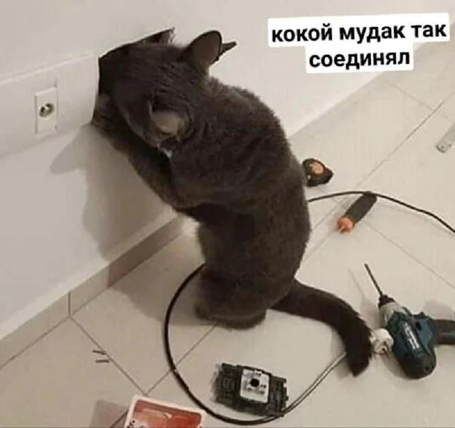 Классные мемы