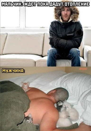 Мемы в ленту #3