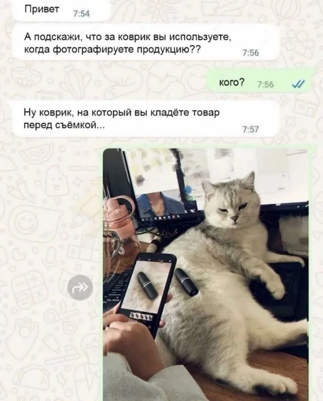 Смешные скрины из соцсетей #122