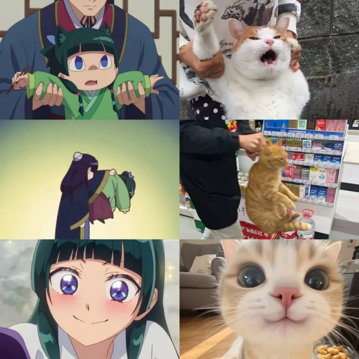 Случайная подборка аниме-мемов для поднятия настроения