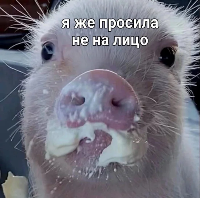 Пошлые мемы и чёрный юмор 18+ | Подборка #14 Пошлые мемы и чёрный юмор 18+ | Подборка #14